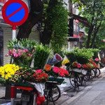 mặt phố hàng buồm - đẳng cấp giới tính hoa - tt phố cổ tấp nập tây ta - kd sầm uất mọi loại hình