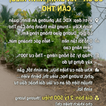 BÁN NỀN GÓC KDC 3A - AN BÌNH, NINH KIỀU, CẦN THƠ
