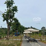 bán đất đang kinh doanh buôn bán ấp bàu chim, xã phú xuân, tân phú, đồng nai