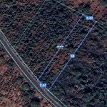 đường 56b, xã kim long, châu đức, bà rịa vũng tàu, 1,4 tỷ, 1100 m2