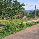 bán đất tại xã phú vinh, tân lạc, hòa bình, 1,35 tr / m2, 1168 m2 hàng hiếm giá tốt