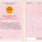 chính chủ cần bán cặp lô hoa hậu dự án thái đào residence mặt đường trường trinh