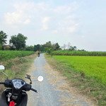 đất mẫu lập vườn 20,000m2 có ngay 100m mặt tiền tại phước thạnh, gò dầu, tây ninh