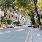 Cho thuê mặt bằng trệt đường nam kỳ khởi nghĩa, gần đại lộ hòa bình