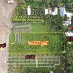 Bán trên 7000 mét hơn 7 công đất mặt đường lộ xe container