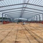 Cho thuê xưởng 7800m2 (TDT 13.000m2) Gò Dầu Tây Ninh