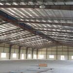 Cho thuê kho xưởng trong KCN Phú Mỹ 1, Phú Mỹ, DT 9000m2; 10.000m2; 15.000m2; 20.000m2
