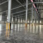 Cho thuê nhà xưởng 19.000m2 giá chỉ 1tỷ 200 triệu. KCN Nhơn Trạch-Đồng Nai