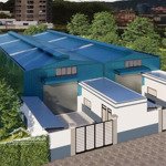 bán nhanh nhà máy việt hương 2 bến cát bình dương diện tích 30.0002 lh ngay 