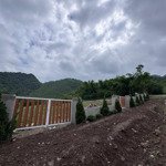 chính chủ cần bán siêu phẩm nghỉ dưỡng - vị trí đất nằm tại : thôn yên lịch - xã thanh sơn