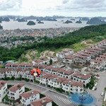 đẹp miễn chê với căn biệt thự 3,5 tầng 300m2 ven đồi flc trung tâm cột 3 - cột 5, tp. hạ long.