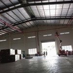 cho thuê kho 1100m2, 1300m2, 2400m2, 4800m2 kcn cát lái q2, pccc tự động đạt chuẩn, kho cao 11m