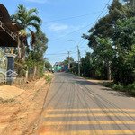 bán đất rẻ nhất hàng gòn 6000m2 full hồng đường hiện hữu ngân hàng hỗ trợ 60% tổng 2,5 tỷ