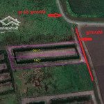 bán đất 1100m2 tại tân phú trung, 4 tỷ, củ chi, hcm