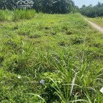 chủ bán lô đất mtđ.lê thị kim chi, t.t cái bè,h.cái bè, tiền giang, đất thổ cư, xây dựng tự do, shr