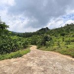 bán 2,2ha đất tại tân lạc - hoà bình có 3000m2 thổ cư mà giá chưa đến 400k/m lh ngay 