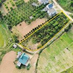 chính chủ gửi bán mảnh đất 1370m2, 200m2 thổ cư, 3 mặt tiền ở thị trấn mãn đức, tân lạc, hoà bình