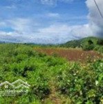 bán 2000m2 đất vườn tổ 32 thị trấn liên nghĩa, đức trọng, 1 tỷ 850 triệu