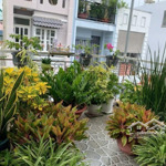 cách aeon q8 chưa tới 5 phút mà chỉ 79 triệu/m2