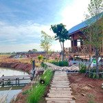 cần bán gấp vườn ven hồ trị an - diện tích rộng hơn 1000m2, shr, giá chỉ 1ty1 trọn sổ