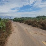 cần bán 1000m2 đất xã bưng riềng huyện xuyên mộc tỉnh vũng tàu đường nhựa giá chỉ 780tr