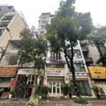 bán nhà mặt phố phan kế bính : 85m2 5 tầng - mt 5m - sổ đỏ vuông - vị trí đẹp