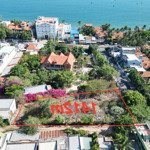 bán 1412m2 lô góc mặt đường nguyễn tấn định, hàm tiến ( vị trí độc tôn )