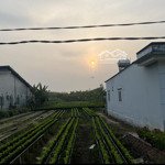 bán đất chính chủ 4.373m2 mặt tiền đường ông hộ, phường an hoà, tp sa đéc, đồng tháp