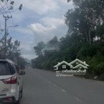 bán đất tại lê trọng tấn, 35 triệu / m2, 126 m2, mặt tiền 6m, giá cực tốt cho nhà đầu tư
