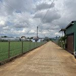 bán đất tt liên nghĩa dt 7x31m tc 100m2, tổng 218m2 giá 2,1 tỷ cách sân bay 7 phút