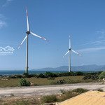 bán đất đường 709, phước dinh view biển, giá 2tỷ75, có 1217m2 siêu rẻ