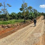 thanh lí: bán gấp đất ngộp đường xe hơi khu dân cư xã cư mgar giá đầu tư
