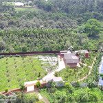 nhà vườn view hồ full thổ cư 4000m2 km12 hoà đông, krông păk
