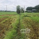 đất vườn gần tỉnh lộ 15, tân thạnh tây, củ chi, diện tích 1188 m2, view đẹp, giá tốt