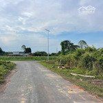 bán 530m2 đất cao ráo, trồng cây lâu năm, tỉnh lộ 8, xã tân thạnh tây, củ chi