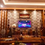 bán biệt thự mini 254m sân vườn rộng vị trí đẹp ba cu thông nguyễn kim p.4 vt giá 14,5 tỷ tl
