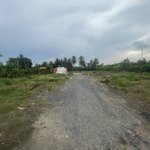 cho thuê đất mặt tiền đường quốc lộ 1 a tỉnh tiền giang