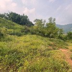đất 6500m2 cao view thoáng cách cao tốc hòa bình 150m, giá chỉ 2.2 tỷ rẻ nhất khu vực