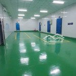 cho thuê kho cấp đông 1800m2 sầu riêng thị trấn phước an krong pắc