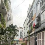phú nhuận - mặt tiền đường hoa - 50m - hầm 4 tầng st mới đẹp - ngay phan xích long