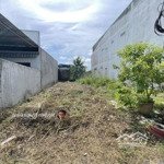 ra nhanh lô đất 123m2/520tr . mtđ mỹ hạnh, x. mỹ hạnh bắc, đức hòa, long an. đất full thổ cư. shr