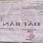 bán đất mt đường nhựa đt 902, xã quới an, vũng liêm, vĩnh long, giá 1 tỷ, dt 258.6m2