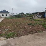bán đất chính chủ 156,9m2, xã đông trà, tiền hải. thái bình.. 520tr.