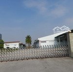kho xưởng cho thuê xã bình mỹ , củ chi ,dt: 13,000m2 , hợp đồngdài hạn