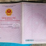 chính chủ cần bán an phú, củ chi, hồ chí minh, 4 tỷ, 1244m2 giá siêu hời