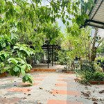 bán đất thổ cư mặt tiền kinh doanh linh xuân thủ đức, 525m2 giá chỉ 23,7 tỷ
