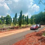 chính chủ bán đất 2000m2 vườn cao su đất tại đồng phú, shr