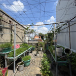 nhà riêng đẹp ở quang trung, gò vấp, 9,8 tỷ, 60m2