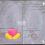 Bán nhanh lô đất bàu vàng 6 và đường số 6