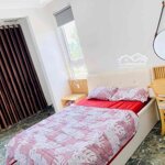 Căn hộ mimi giá rẻ mặt tiền sát nguyễn chánh